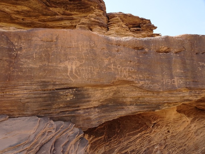 Graffiti en thamoudique himaïtique gravé sur un rocher près de Ḥimā, au nord de Najrān (Arabie Saoudite), accompagnés d’un dessin d'une autruche.